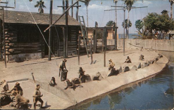 Monkey House, Municipal Zoo Sanford Florida
