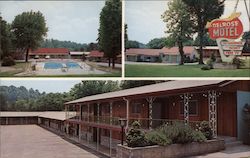 Delrose Motel Postcard