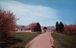 Cove Lake State Park Postcard