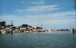 The Harbor at Ewell Smith Island, MD F.W. Brueckmann Postcard Postcard Postcard