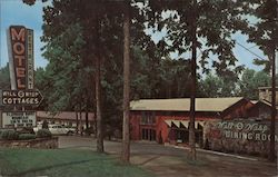 Will O' The Wisp Resort Postcard