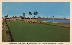 Horses Racing on the Turf, Gulfstream Park Postcard