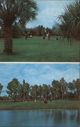 Holes No 11 and 12 at Palmetto Pines Postcard