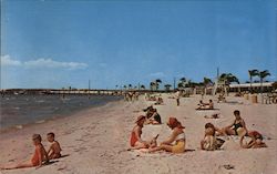 Bahia Beach Ruskin, FL Gene Rothlauf Postcard Postcard Postcard