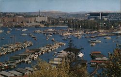 Portage Bay and Seattle Yacht Club Postcard