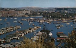 Portage Bay and Seattle Yacht Club Postcard