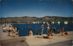 Reno Hot Springs Postcard