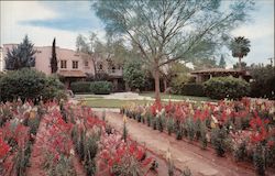 The Arizona Inn Postcard