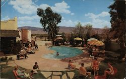 Desert Willow Ranch Postcard