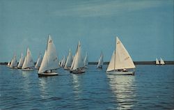 Sailing on Sunset Lake Postcard