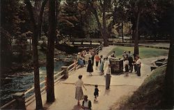 Geyser Park Postcard