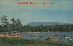 Moffitt Beach Campsite Postcard