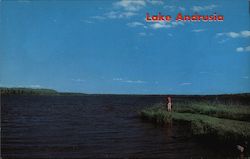 Lake Andrusia Minnesota Postcard Postcard Postcard