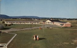 Royal Anne Motel Postcard