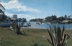 Flatt's Inlet, Showing Coral Island Club Postcard