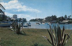 Flatt's Inlet, Showing Coral Island Club Bermuda Postcard Postcard Postcard