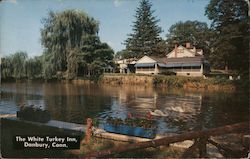 The White Turkey Inn Postcard