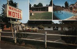 Wayside Motel Postcard