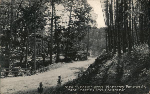 View on Scenic Drive, Monterey Peninsula Pacific Grove California