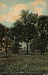 Avenue of Elms A.W. & G. Ry. Station in Background Postcard