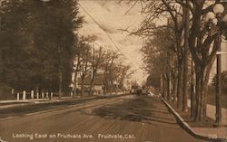 Looking East on Fruitvale Avenue Postcard
