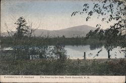 The Pond by The Dam North Haverhill, NH Postcard Postcard Postcard
