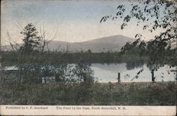 The Pond by The Dam Postcard