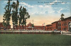 So. Cal Branch, University of California Postcard