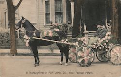 A Thoroughbred in Rose Festival Parade Postcard