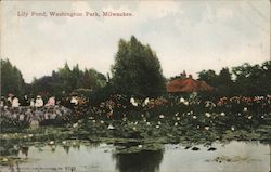 Lily Pond, Washington Park Milwaukee, WI Postcard Postcard Postcard