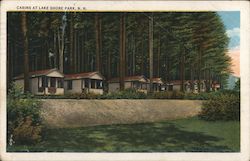 Cabins Lake Shore Park, NH Postcard Postcard Postcard