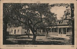 Island View House Chebeague Island, ME Postcard Postcard Postcard