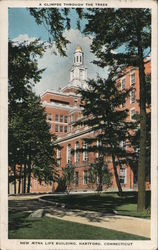 A Glimpse Through The Trees, New Aetna Life Building Postcard