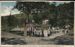 Springs, Tennis Court and Croquet Grounds Postcard