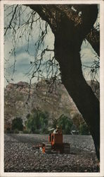 Stock #865503 Thumbnail