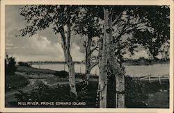 Mill River Postcard