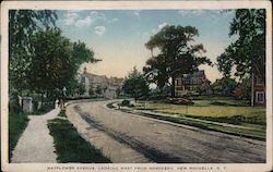 Mayflower Avenue, Looking West From Northern Postcard