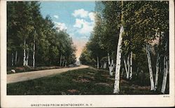 Scenic View, Greetings from Montgomery, NY Postcard
