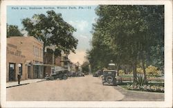 Park Ave., Business Section Postcard