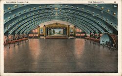 Coliseum Tampa, FL Postcard Postcard 