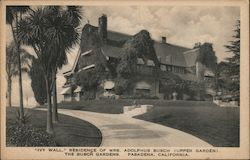 "Ivy Wall" at the Residence of Mrs. Adolphus Busch (Upper Garden), The Busch Gardens Postcard