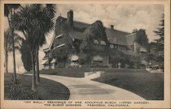 "Ivy Wall" at the Residence of Mrs. Adolphus Busch (Upper Garden), The Busch Gardens Pasadena, CA Postcard Postcard Postcard