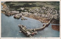 Airplane View, Petersburg, Alaska Postcard Postcard Postcard