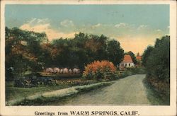 Greetings From Warm Springs, Calif. Postcard