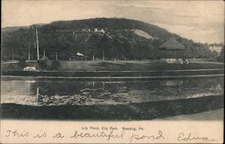 Lily Pond, City Park Reading, PA Postcard Postcard Postcard