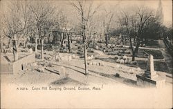 Cops Hill Burying Ground Boston, MA Postcard Postcard Postcard