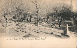 Cops Hill Burying Ground Postcard