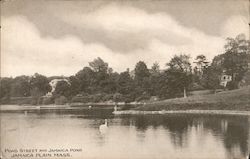 Pond Street and Jamaica Pond Jamaica Plain, MA Postcard Postcard Postcard