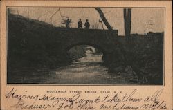 Woolerton Street Bridge Delhi, NY Postcard Postcard Postcard