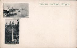 Portland Harbor and Latourelle Falls Postcard